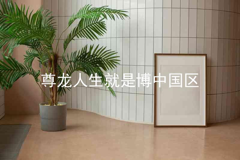尊龙人生就是博中国区