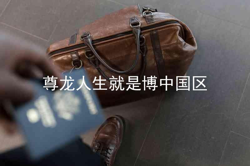 尊龙人生就是博中国区