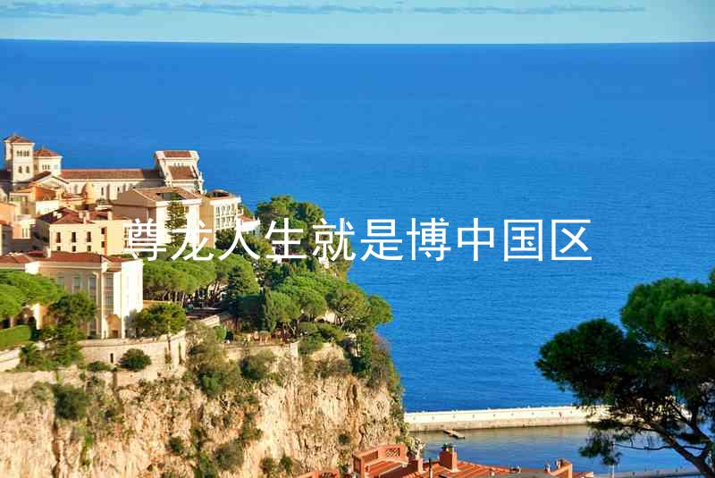 尊龙人生就是博中国区