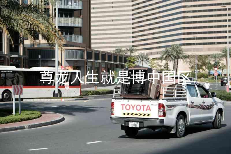 尊龙人生就是博中国区