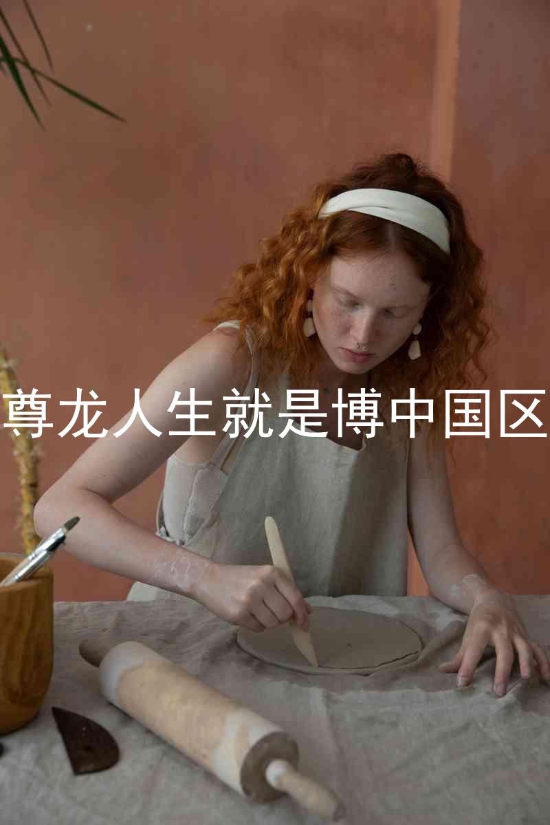 尊龙人生就是博中国区